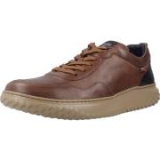 Kengät CallagHan  Informales Hombre Modèle 60802c  45