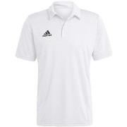 T-paidat & Poolot adidas  Ent22  EU XXL