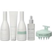 Björn Axén Ultimate Scalp Kit Shampoo250 ml+ Detox Scrub 150 ml+Condit...