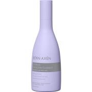 Björn Axén Cool Blonde Coloring Silver Conditioner 250 ml