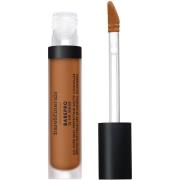 bareMinerals BarePro All Over Skin Perfecting Conceal Medium Deep 450 ...