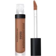 bareMinerals BarePro All Over Skin Perfecting Conceal Medium Deep 450 ...