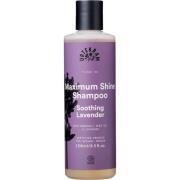 Urtekram Maximum Shine Shampoo Soothing Lavender - 250 ml