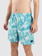 Hurley Cannonball Volley 17" Surffishortsit kuviotu