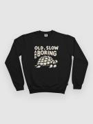 The Dudes Tortoise Seasonal Neulepaita musta