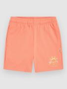 O'Neill Heart Kids Shortsit pinkki