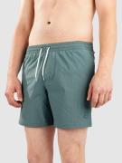 O'Neill Vert Camorro 16'' Surffishortsit sininen