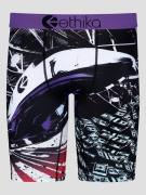 Ethika Money Pit Bokserit kuviotu
