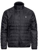 Horsefeathers Asher Takki musta