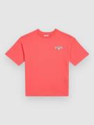 O'Neill Back Print Kids T-Paita punainen