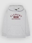 Element Home Team Kids Huppari harmaa