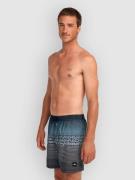 O'Neill Logo Stripe 16'' Boardshorts musta