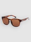 Quiksilver Time Box Shiny Tortoise Aurinkolasit ruskea