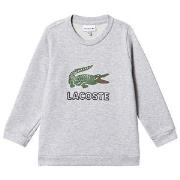 Lacoste Logo Print Sweatshirt Gray 10 years