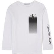 Calvin Klein Jeans Branded T-Shirt White 10 Years