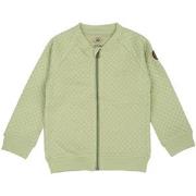 Gullkorn Moss Sweatshirt Pale green 122/128 cm