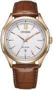 Citizen Miesten kello AW1753-10A Eco Drive Hopea/Nahka Ø41 mm