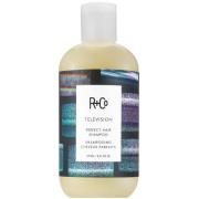 R+Co TELEVISION Perfect Shampoo 251 ml