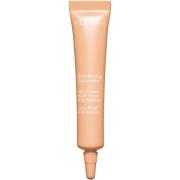 Clarins Everlasting Concealer 01 Light