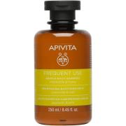 APIVITA Frequent Use Gentle Daily Shampoo  250 ml