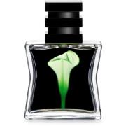 SG79 STHLM No.22 Green EdP 30 ml