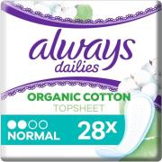 Always Cotton Normal Liner