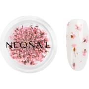 NEONAIL Dried Flowers 01 - Pink