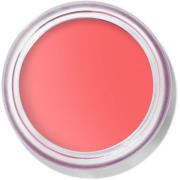 Bobbi Brown Pot Rouge Velvet Matte Apricot Rush