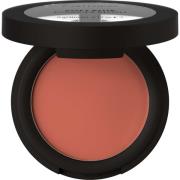 Catrice Soft Blur Powder Blush 030 Cinnamon Sugar