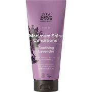 Urtekram Tune In Soothing Lavender Maximum Shine Conditioner Soot