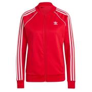 ADIDAS ORIGINALS Collegetakki 'Adicolor Classics'  tulenpunainen / val...