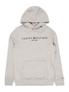 TOMMY HILFIGER Collegepaita  yönsininen / meleerattu harmaa / vaaleanp...