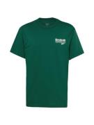 Reebok Toiminnallinen paita  vihreä / valkoinen