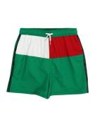 Tommy Hilfiger Underwear Uimashortsit  vihreä / punainen / musta / val...