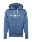 TOMMY HILFIGER Collegepaita  opaali / tummansininen / punainen / valko...