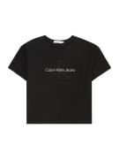 Calvin Klein Jeans Paita  vaaleanharmaa / tummanharmaa / musta