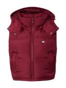 Tommy Jeans Liivi 'ALASKA'  marjat