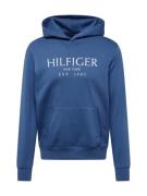 TOMMY HILFIGER Collegepaita  sininen / valkoinen