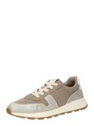 TOMS Matalavartiset tennarit 'TRVL LITE RETRO'  beige / tummabeige / h...