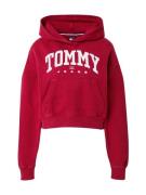 Tommy Jeans Collegepaita  grenadiini / valkoinen