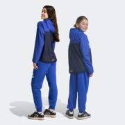 ADIDAS PERFORMANCE Urheiluhousut 'Essentials'  sininen / valkoinen