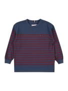 TOMMY HILFIGER Paita  tummansininen / punainen