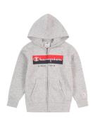 Champion Authentic Athletic Apparel Collegetakki  vaaleanharmaa / puna...