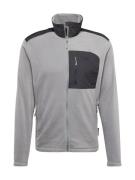 HELLY HANSEN Toiminnallinen fleecetakki 'DAYBREAKER'  harmaa / antrasi...