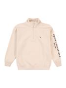 TOMMY HILFIGER Collegepaita 'ESSENTIAL'  marine / cappuccino / punaine...