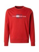 TOMMY HILFIGER Collegepaita  sininen / punainen / valkoinen