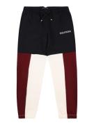 TOMMY HILFIGER Housut  laivastonsininen / rubiininpunainen / offwhite