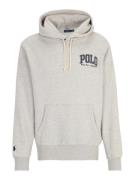 Polo Ralph Lauren Collegepaita  marine / vaaleanharmaa