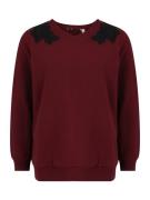 Dorothy Perkins Petite Collegepaita  burgundin punainen / musta