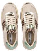 STEVE MADDEN Matalavartiset tennarit 'Moxy'  beige / vihreä / musta / ...